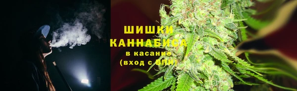 бошки Каменка