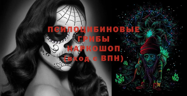бошки Каменка